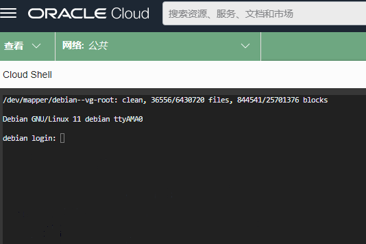 甲骨文云ARM机器使用 netboot.xyz 救机，重装任意系统